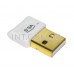 BlueTooth mini adapter v5.0, USB 2.0, белый 